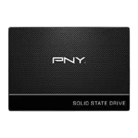 اس اس دی اینترنال PNY CS900