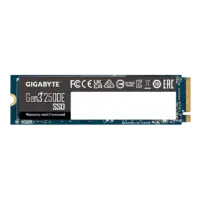 اس اس دی اینترنال گیگابایت Gigabyte 2500E